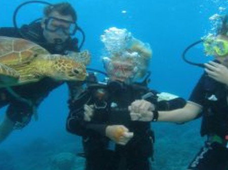 Brinsmead QLD Accommodation Coffs Harbour