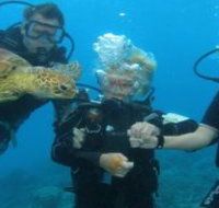 Yardarm Pty Ltd t/a Passions of Paradise - Accommodation Coffs Harbour