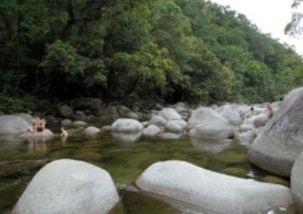 Tropical Horizons Tours - Accommodation Coffs Harbour 0