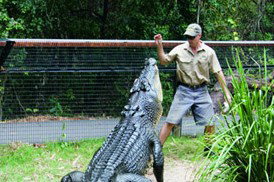 Tropical Horizons Tours - Accommodation Coffs Harbour 4