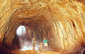 Undara Experience - Accommodation Coffs Harbour 1