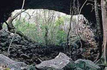 Undara Experience - Accommodation Coffs Harbour 2