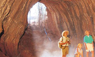 Undara Experience - Accommodation Coffs Harbour 3