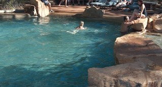 Undara Experience - Accommodation Coffs Harbour 5