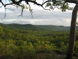 Cooktown Aboriginal Art Tours - Accommodation Coffs Harbour 1