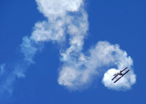 Tigermoth Adventures Whitsunday - Accommodation Coffs Harbour 5