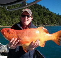 Gone Fishing by Coral Sea Fishing Charters Airlie Beach - Accommodation Coffs Harbour