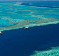 Cruise Whitsundays - Accommodation Coffs Harbour