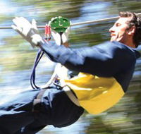 Adventure Parc - Accommodation Coffs Harbour