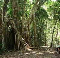 The Airlie Creek Track - Accommodation Coffs Harbour