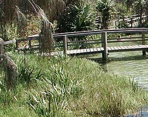 Australia Fraser Island Escape - Accommodation Coffs Harbour 1