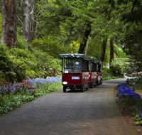 Araluen Botanic Park - Accommodation Coffs Harbour