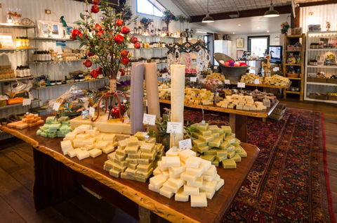 Vasse Virgin - Accommodation Coffs Harbour 3