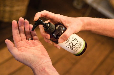 Vasse Virgin - Accommodation Coffs Harbour 5