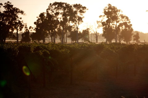 Evans & Tate - Accommodation Coffs Harbour 0