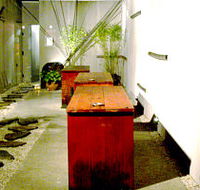Koi - Accommodation Coffs Harbour