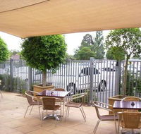 Coach  Horses - Accommodation Coffs Harbour