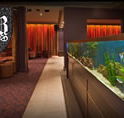 AB Hotel - Accommodation Coffs Harbour