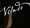 Veludo - Accommodation Coffs Harbour