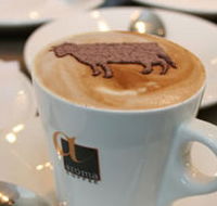 Brown Cow - Accommodation Coffs Harbour
