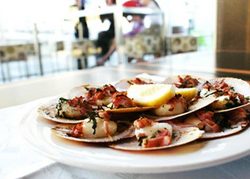 Salt Bar And Restaurant - Accommodation Coffs Harbour 1