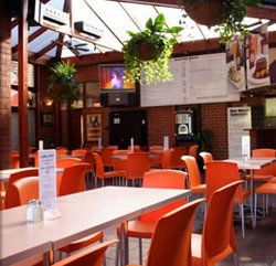 Coopers Alehouse At The Earl - Accommodation Coffs Harbour 3