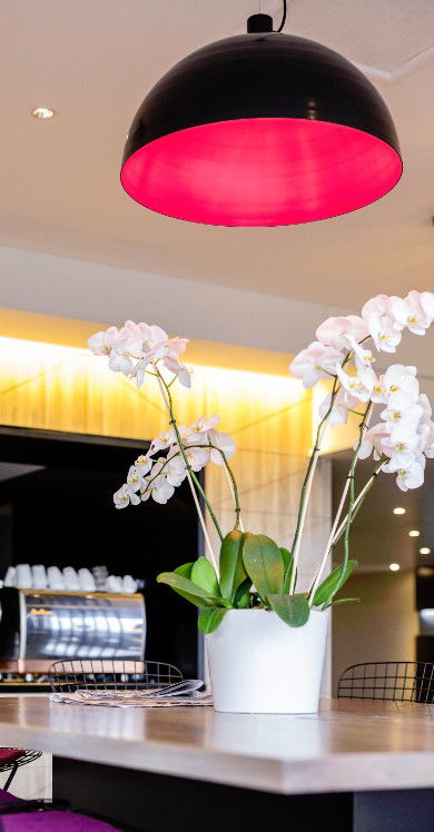 MRepublic Restaurant, Bar And Lounge - Accommodation Coffs Harbour 4