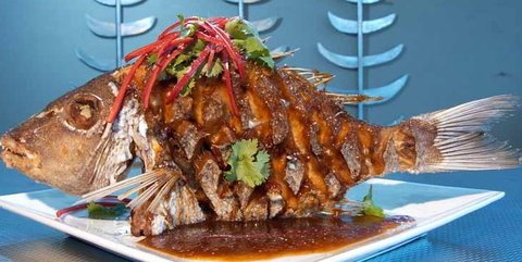 Fish On Parkyn - Accommodation Coffs Harbour 5