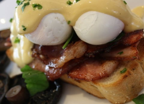 Raphael's On Brighton - Accommodation Coffs Harbour 2