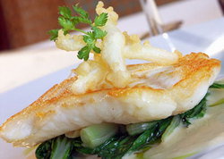 Metropolitan Hotel - Accommodation Coffs Harbour 1