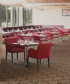Trinity Bar And Restaurant - Accommodation Coffs Harbour 2