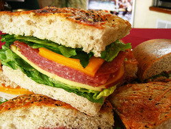 Jabiru Bar - Accommodation Coffs Harbour 3