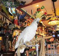 A Friend In Hand - Accommodation Coffs Harbour
