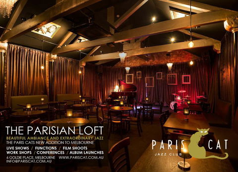 Paris Cat - Accommodation Coffs Harbour 4