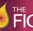 Pickled Fig - Accommodation Coffs Harbour