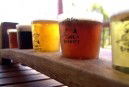 Moody Cow Brewery - Accommodation Coffs Harbour 1