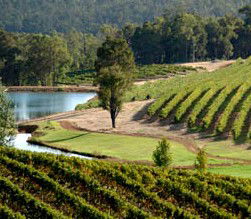 Brookhampton Estate Vineyard - Accommodation Coffs Harbour 0