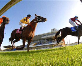 Wyong Race Club - Accommodation Coffs Harbour 0