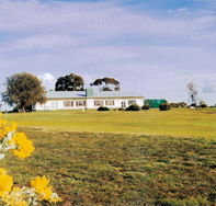Lucindale Country Club - Accommodation Coffs Harbour