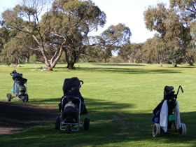 Minlaton Golf Club - Accommodation Coffs Harbour 3