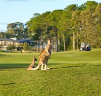 Sanctuary Cove Golf and Country Club - Accommodation Coffs Harbour