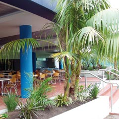 Club Forster - Accommodation Coffs Harbour 0
