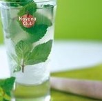 Havana Club Deluxe - Accommodation Coffs Harbour 1