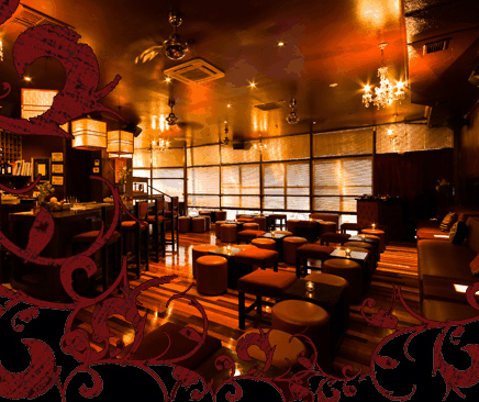 Hippo Lounge Bar - Accommodation Coffs Harbour