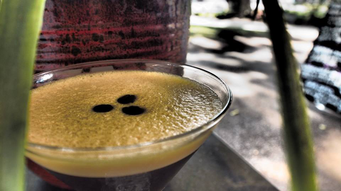 Viva La Vida Wine & Tapas Bar - Accommodation Coffs Harbour 2