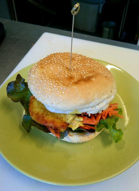 Yogolicious - Accommodation Coffs Harbour 2