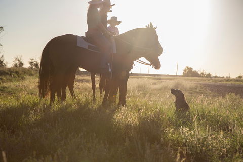 Balonne Cutting Horse Futurity - Accommodation Coffs Harbour 0