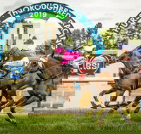 Bathurst Cup - Accommodation Coffs Harbour