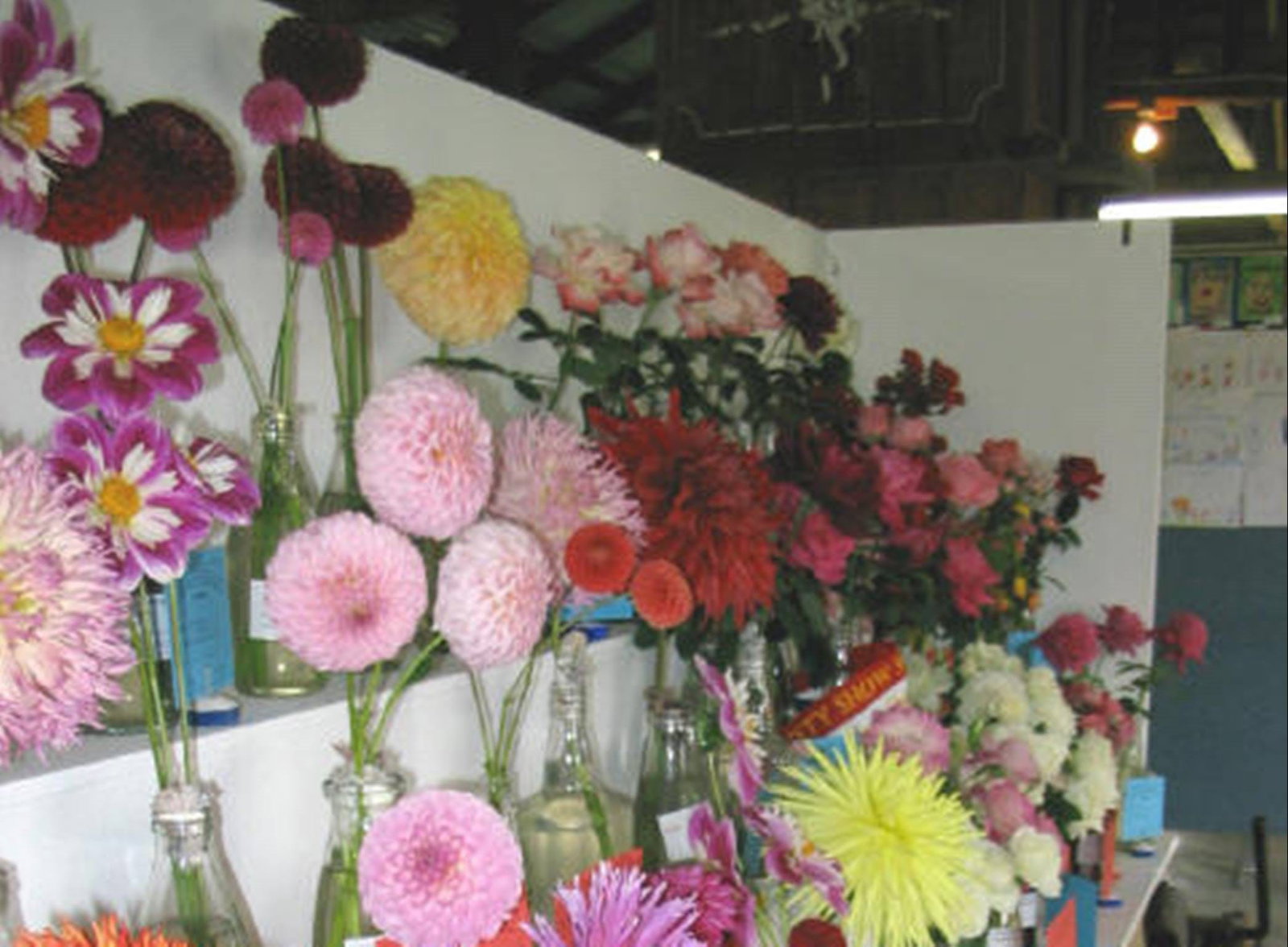 Paupong NSW Accommodation Coffs Harbour