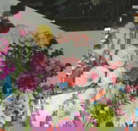 Dalgety Show - Accommodation Coffs Harbour